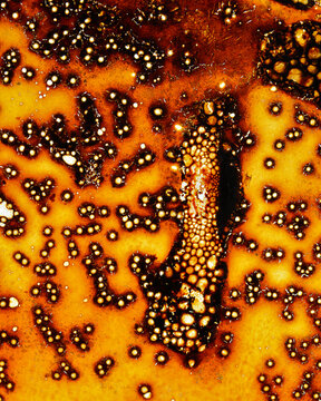Patterns in residue of glass pan after cooking pork