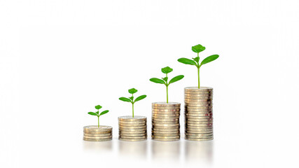 Green leaf plant growth on coin on white background business start idea and business building to success.
