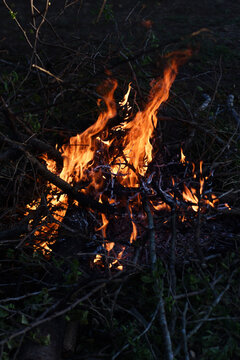 fire