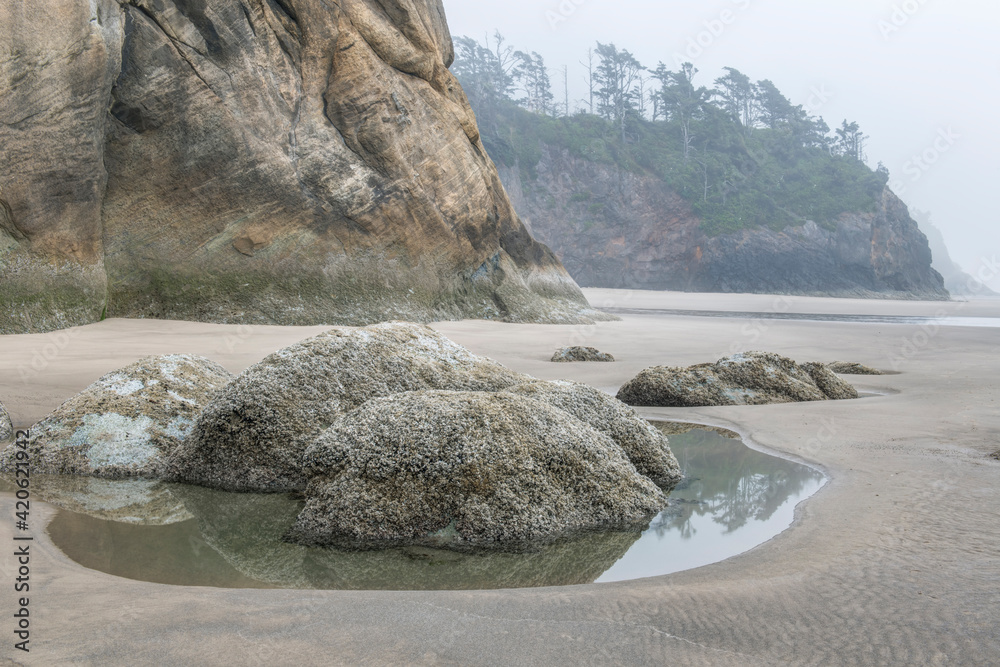 Sticker usa, oregon. hug point state park, foggy beach.