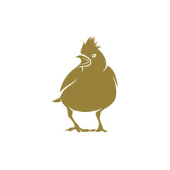 Lark bird design vector illustration, Creative Lark bird logo design concepts template, icon symbol