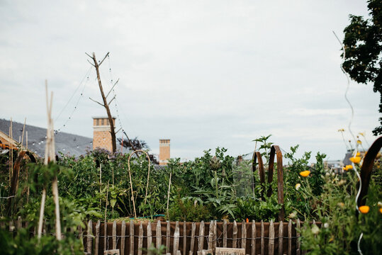 Rooftop gardening