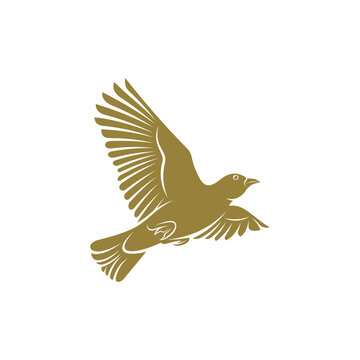 Lark bird design vector illustration, Creative Lark bird logo design concepts template, icon symbol