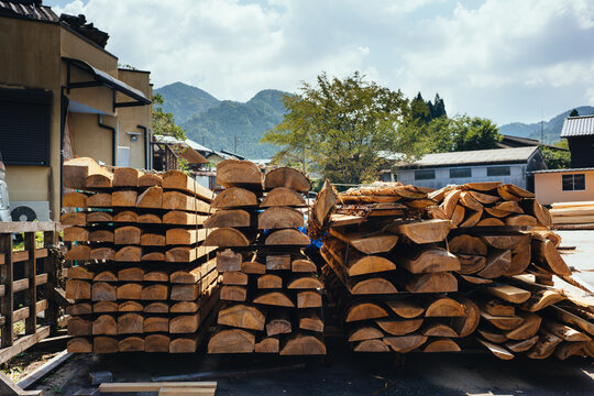 Trees Are Put to Get Dry at Wooden Processing Plant in Japanese Countryside
