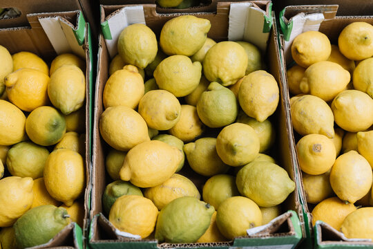 Cartons of fresh eco lemons