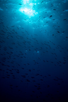 Water surface
