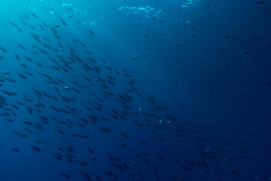 Water surface