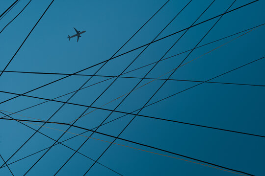 Bird on a Wire