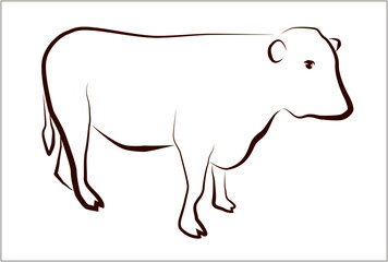 牛の線画イラスト