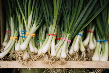 Green Onions At Farmers Market