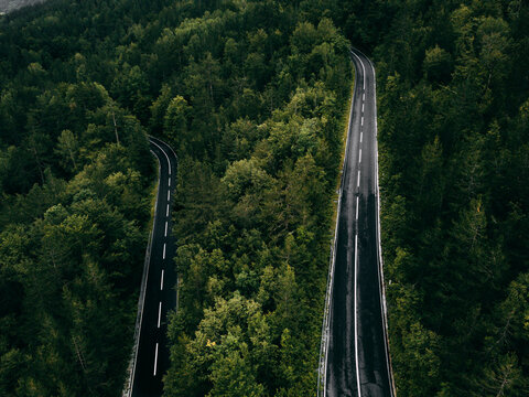 Forest road - aerial view