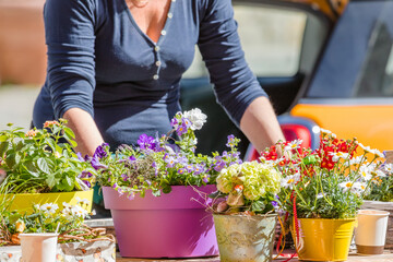 Female florist or gardener working in flower shop or nursery.