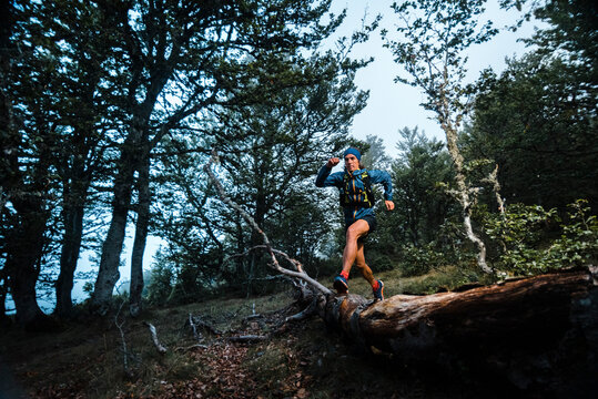 Trail runner jumping over fallen tree