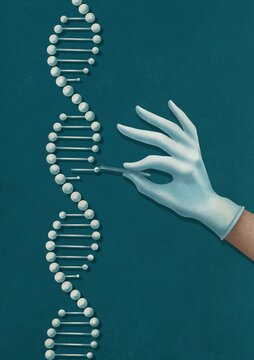 the scientist's hand examines the DNA molecule and tries to change its structure.