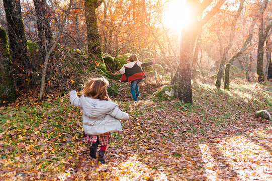 Children running in forest in autum day
