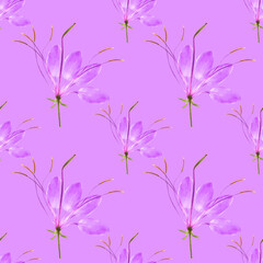 Cleome, spider flower. Illustration, texture of flowers. Seamless pattern for continuous replication. Floral background, photo collage for textile, cotton fabric. For wallpaper, covers, print