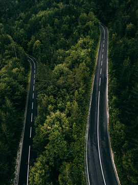 Forest road - aerial view
