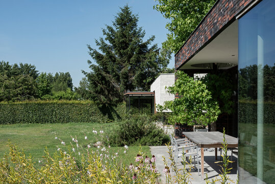 patio and abies