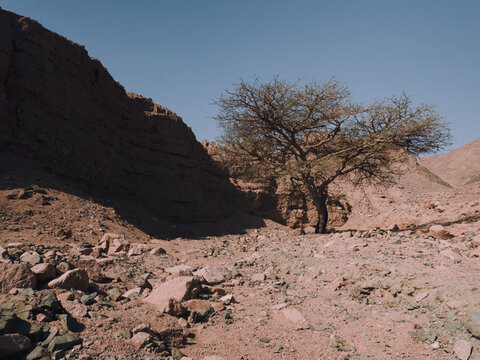 Deserted landscape