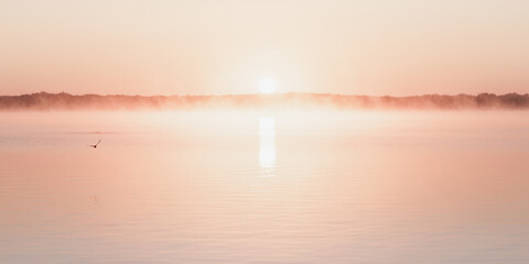 Serene Pink Sunrise Over Lake