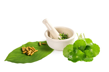 Alternative fresh herb medicine in mortar with capsules and leaves isolated on white background.
