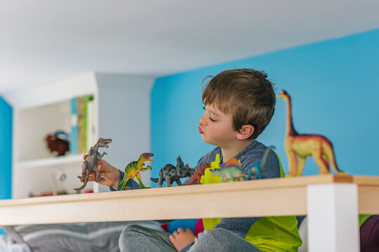 Young Boy Playing with Toy Dinosaur Figures