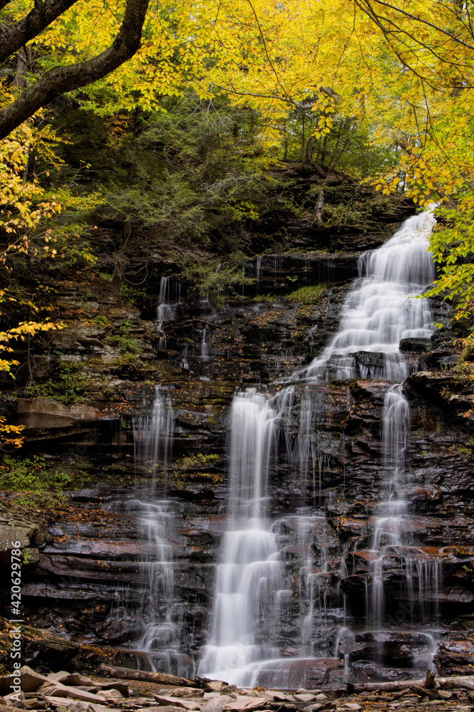 Wall mural USA, Pennsylvania, Benton. Waterfall in Ricketts Glen State Park.