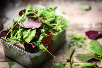 Fresh mix of salads in a plastic container. Healthy diet concept. Eco food.