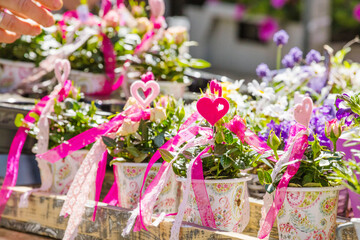 Female florist or gardener working in flower shop or nursery.