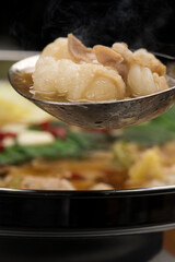 ぷりぷりホルモンの博多もつ鍋