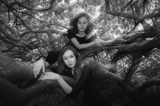Two girls in the branches.