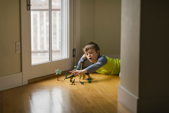 Young Boy Playing with Toy Dinosaur Figures alone
