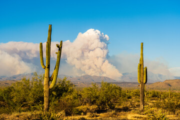 Pyrocumulus Cloud from a Wildfire in Arizona