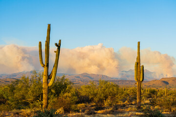 Smoke Plume from a Wildfire in Arizona