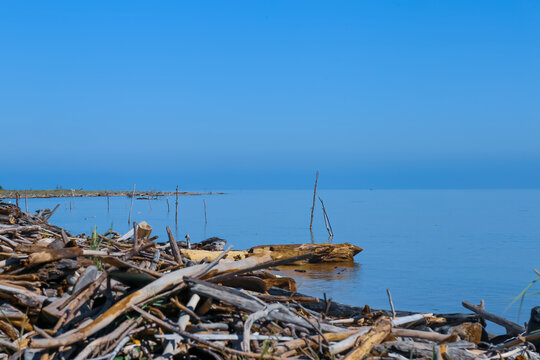 The driftwood with the edge between blue sea line and blue skyline