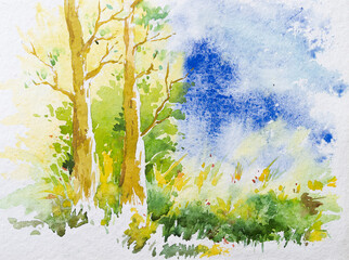 Beautiful watercolour painting of Indian forest with green trees and blue sky in background.