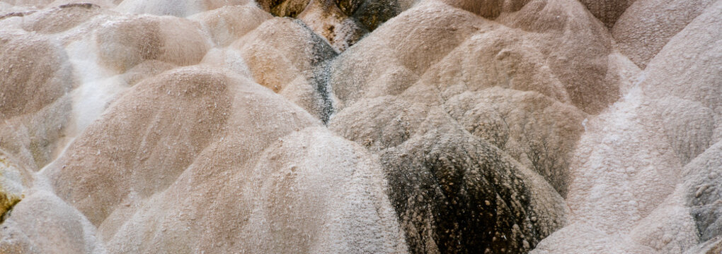 canary spring at mammoth hot springs in yellowstone