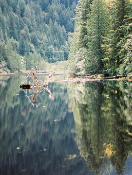 Lare in Canada