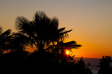 sunset on the Black Sea