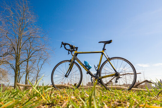Low-angle view of a black and yellow Cannondale SuperSix road bike propped against a fallen log. March 14, 2020