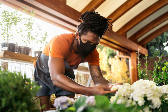 Man Weeding At Greenhouse