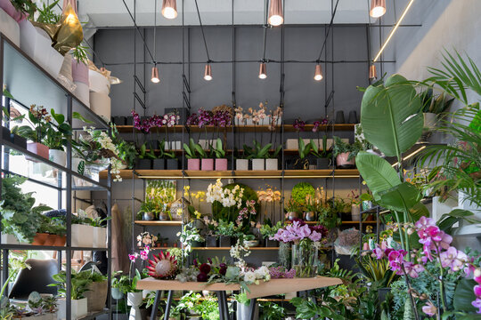 Florist Studio Interior