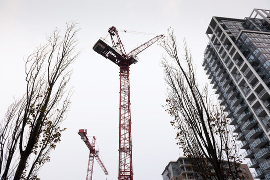 City cranes