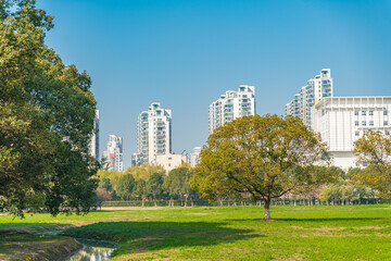 City park in Suzhou, with green lawn and residential buildings.