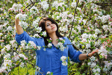 A young attractive woman plus size with dark hair in a blue dress poses in a spring blooming garden. Spring time.