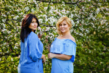 Naklejka premium Two young women brunette and blonde plus size in a blooming garden enjoy nature and have fun. Apple orchard in spring.