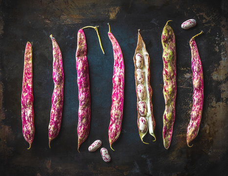 cranberry beans