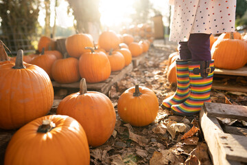Faceless shot of girl in boots at pumpkin stand