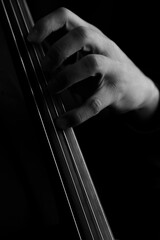 Strings © Tom