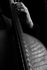 The Cellist © Tom